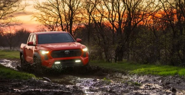 Няма световния обхват на Hilux и Land Cruiser, въпреки някои прилики с тези модели. Всъщност Tacoma беше представен през 1995 г. като заместител на прозаично наречения в Америка - Toyota Pickup, продаван като Hilux на други пазари. Tacoma обхваща пет поколения. Успехът му в Северна Америка обаче не може да бъде подценен. Tacoma се продава толкова добре там, че постави Toyota редом с местните производители на картата на пикапите. Всъщност, това е най-популярният пикап от среден размер в Америка с почти 235 000 продадени бройки в сравнение със 71 000 на Chevrolet Colorado (данни за 2023 година).

Основните причини за успеха на модела са почти същите като при Hilux и Land Cruiser. Tacoma е известен със своята офроуд мощ и издръжливост, подсилени от изключителна следпродажбена поддръжка. Разбира се, надеждността на Toyota е част от комбинацията, въпреки че остава да се види дали новите и бързи турбокомпресорни и хибридни задвижвания ще бъдат толкова здрави.

Tacoma не мина без проблеми с множество изтегляния през годините. Но японците се справят добре с тези препятствия. Toyota се вслушва във феновете на Tacoma и все още предлага пикапа с шестстепенна ръчна скоростна кутия. Особено в Северна Америка това има голямо значение.
